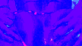 bleu room solo anal finger fucking with assfucking