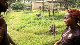 public fuck of tourists in a park in yaoundé during the african cup of nations football in cameroon this woman is copiously fucked in public by the tourist in a park