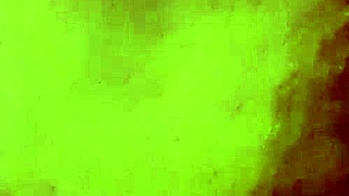 Roommate Riding My Cock In Dorm