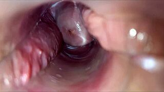 Orgasmo vaginal close-up homemade