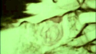 vintage interracial confessions from a victorian english gentleman