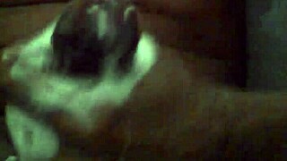 masturbando me con jabon y mi big cock caribbean dominican