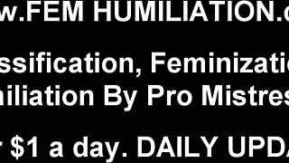 I love humiliating sissy boys like you