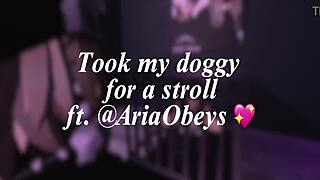 Lonely puppy finds a new owner and home 🐶