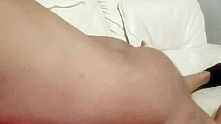 sundaydogood614 update 841 vid 20250317 080207 mar 17 2025