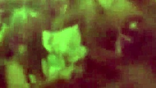 Tarot Card Reveals Three Swallows In Lesbian Fingering Ritual