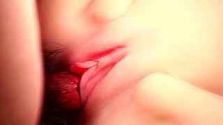 Close Up of Pink Smooth Vagina