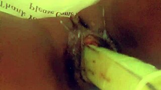 veggie fucking that tight pussy with anal assfucking?