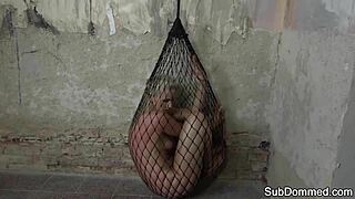 dominated euro trapped in web by maledom