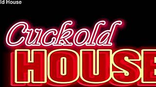 Swing House Cock Delivery