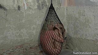 dominated euro trapped in web by maledom