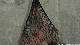 dominated euro trapped in web by maledom