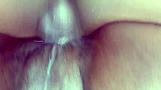 pov fucking this ass bitch doggy till creampie - jul 15 2024