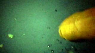 Masturbate and cum shoot in horny session 😈