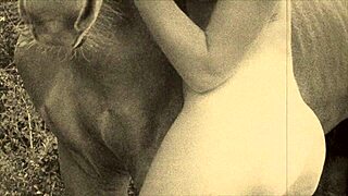 I saw that vintage taboo pussy and pooch getting bent over outdoors