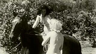 I saw that vintage taboo pussy and pooch getting bent over outdoors