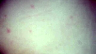 Are you swiping on Tinder for some amateur fun tonight?