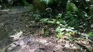 Vamos Fazer Uma Suruba Bem Gostosa