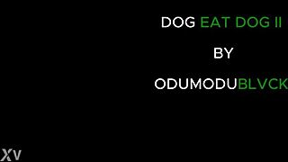 Nigerian girls engage in rough group sex with big black cocks