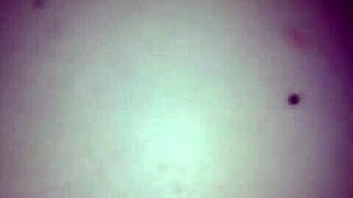 Ray and Cheyann tease big cock in lingerie