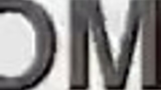 wet animal kitten in insane double anal orgy