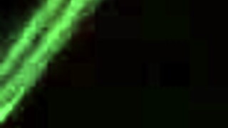 watching spouse rub while masturbating ending with cleanup