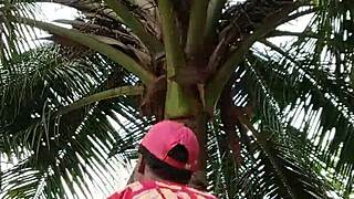 Keeping Up With Crazybitch