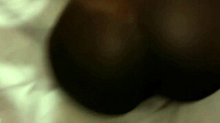 Watch this perfect anus how can white asses even compete