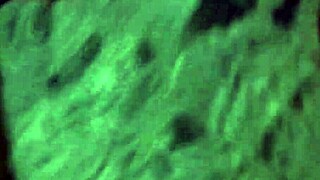 Naughty French maid Toni Samantha sweats while fucking her master intensely