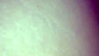 Watch Nalgona ride that dildo!