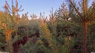 PLEEEEASE DONT CUM INSIDE