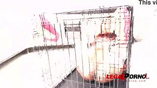 veronica leals debuts with kristy black in exclusive sz2528 scene