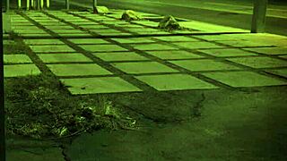 you into extreme trampling domination or stuck in the sixties vibe?