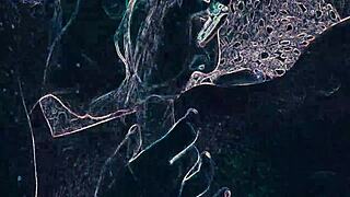 club lights flash during rimjob and blowjob session