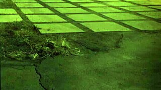 you into extreme trampling domination or stuck in the sixties vibe?