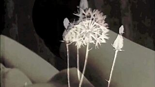 i crave vintage hairy pussy blowjob fucking