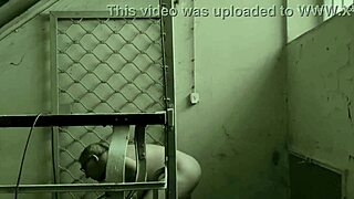 mistress april crushes slaves in brutal bdsm game show