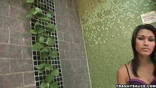 brazilian shemale strokes her throbbing cock till she bursts