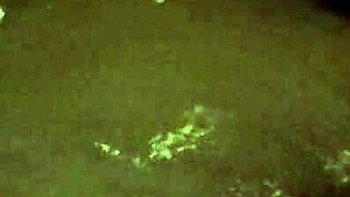 bathtub piss stream builds to steamy intriguing flood