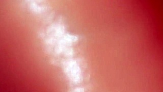 experienced old flame close-up seduces japanese wife cheating blowjob cumshot