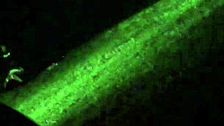 Wanna catch my wife cheating right now?