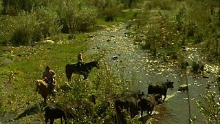 Natalia Wood unzips pants for hard ride.