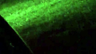 Wanna catch my wife cheating right now?