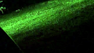 Wanna catch my wife cheating right now?