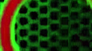 damn billie gene you nasty nympho take rome majors monster cock deepthroat then jizz your curvy face