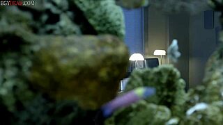 arabic dubbed femme fatales series full episode with crossdressing celebrity cheating sex