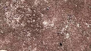 Highway prostitute bares tanned tits for free wild outdoor fuck