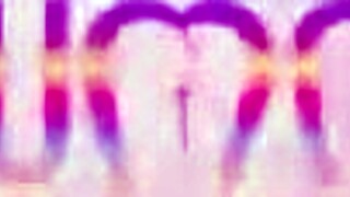 damn aylla mel's tight brazilian holes get wrecked by three monster cocks double anal no pussy