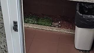 What Happens Inside This Public Toilet Bathroom Solo?