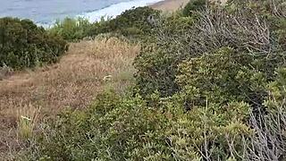 petite milf couple sneaks homemade blowjob exhib in cyprus nature spot